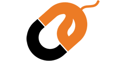 The Computing Australia Group