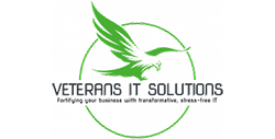 Veterans IT Solutions LLC