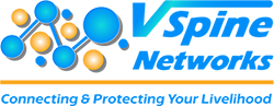 VSpine Networks & Advisors, LLC